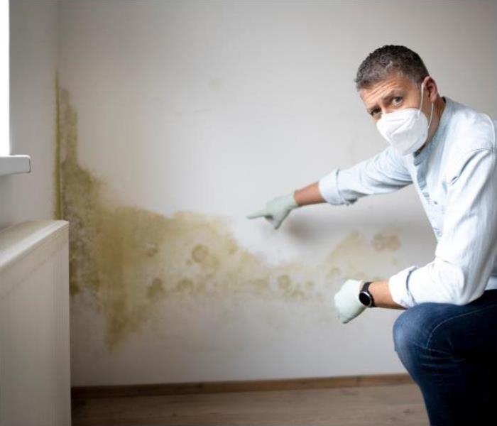 A man wearing a mask is pointing to a wall with mold growing on it.