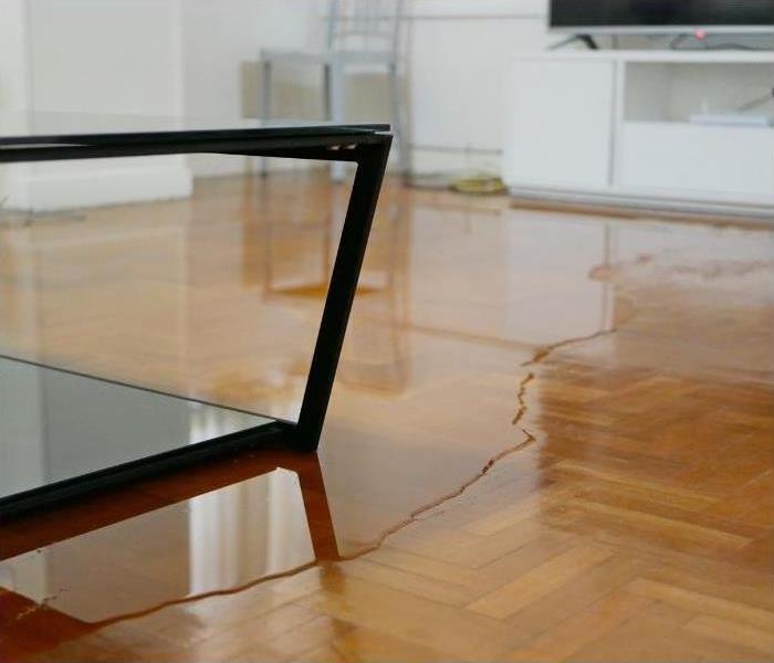 Standing water on a wooden, living room floor.